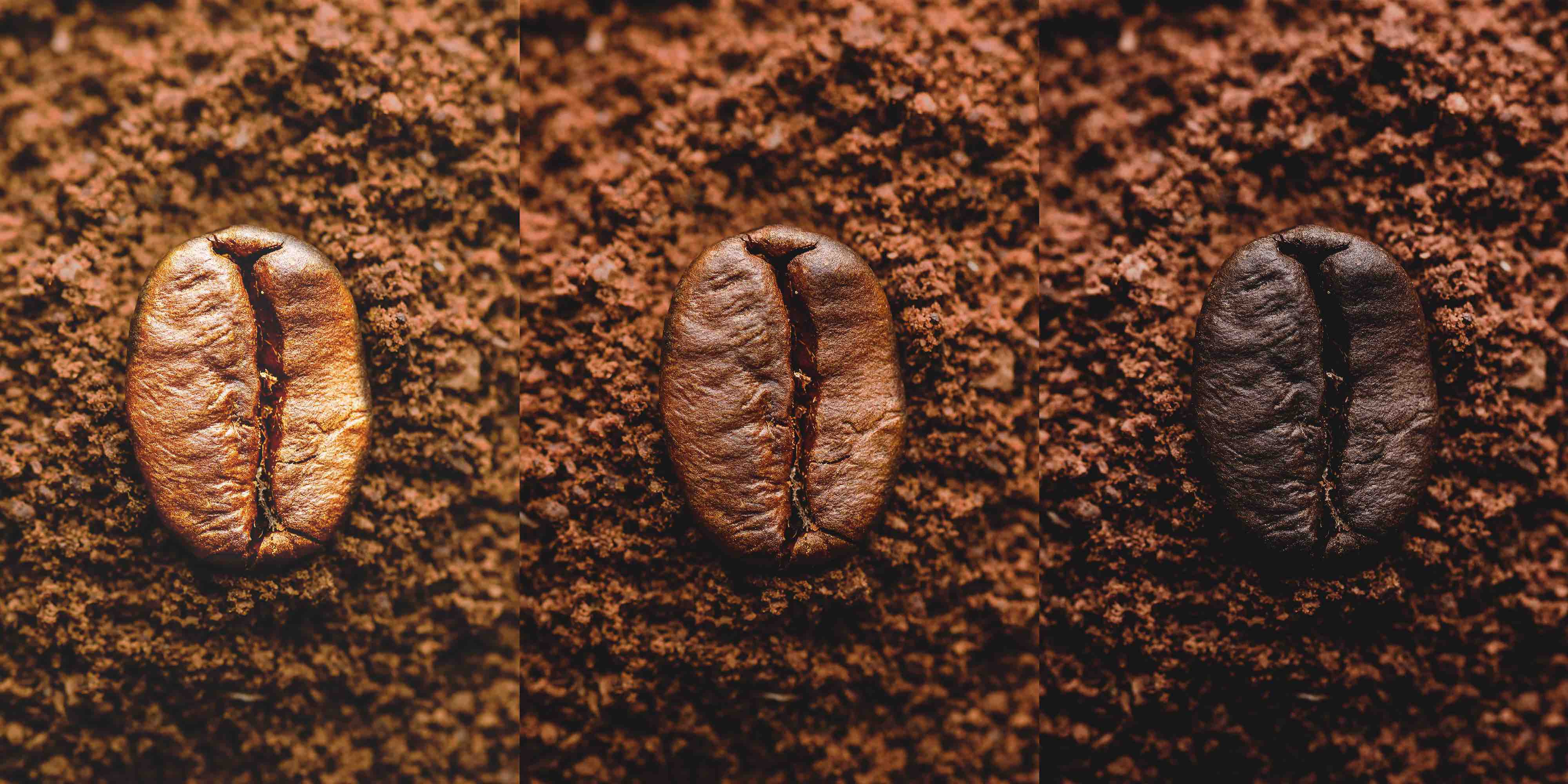 EXPLORING THE WORLD OF COFFEE BLENDS: FINDING YOUR PERFECT MATCH