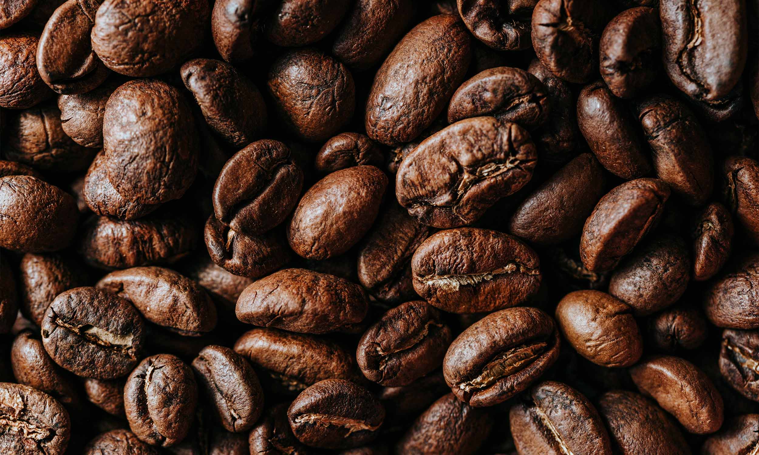 Close up image of coffee beans.